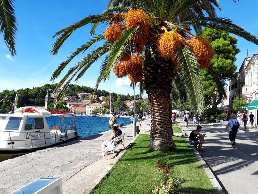 Apartments Rilović Cavtat Zewnętrze zdjęcie
